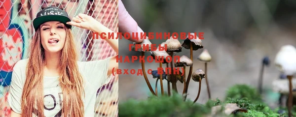 ПСИЛОЦИБИНОВЫЕ ГРИБЫ Алексеевка