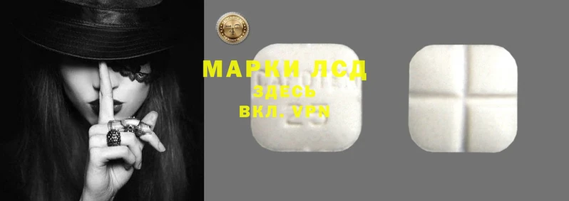 тгк Алзамай