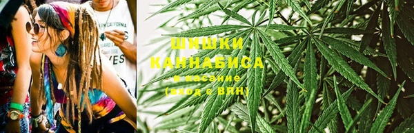 ПСИЛОЦИБИНОВЫЕ ГРИБЫ Алексеевка
