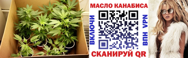 сколько стоит  Трёхгорный  Дистиллят ТГК гашишное масло 