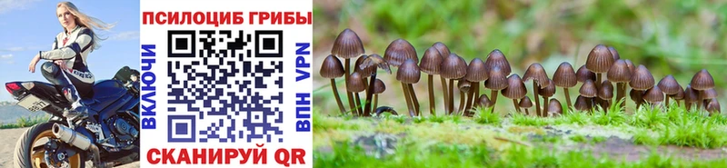 наркотики  Трёхгорный  Галлюциногенные грибы Psilocybine cubensis 